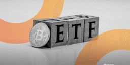 Bitcoin ETFs Draw Investment Surge After Brief Lull Threatens Winning Streak