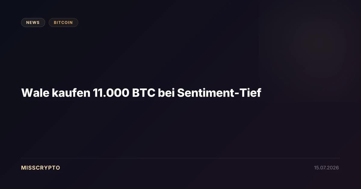 Wale kaufen 11.000 BTC bei Sentiment-Tief